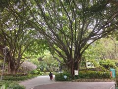 -金鸡山公园