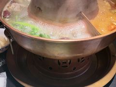 -京悦南门涮羊肉·羊蝎子火锅(田林路店)