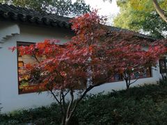 -西湖外事游船(花港观鱼码头)