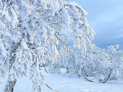 -二世古滑雪场
