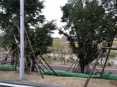 -飞凤山奥体公园
