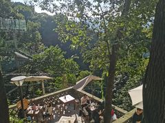 -南山植物园