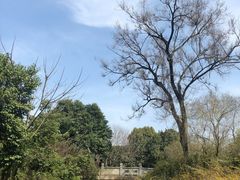 -荆川公园