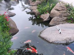 -罗红摄影艺术馆