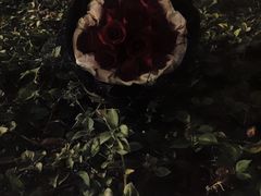 -花仙女鲜花店