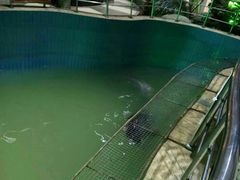 -新世纪绿洲(抚顺店)