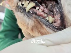 -派特宠物医院(圆融广场店)