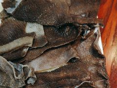 -清真·田园居家酸菜牛肉烤火锅(凤霞路店)