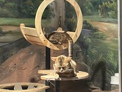 -绿色星球动物主题公园