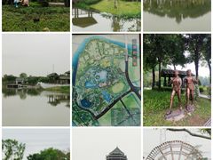 -王借岗森林公园
