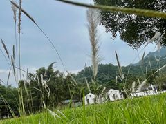 -南丹山森林王国