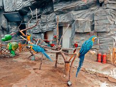 -鄂尔多斯野生动物园