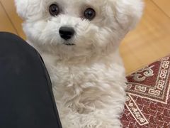 -半天妖烤鱼(西铁营万达店)