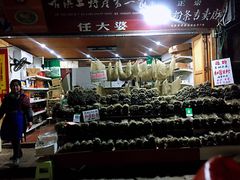 -尧坝古镇