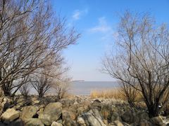 -上海吴淞炮台湾国家湿地公园
