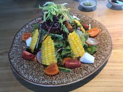 -Hatsune隐泉日式料理(三里屯太古里店)