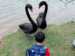 -琅岐红光湖公园