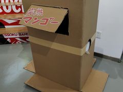 -Sony Store 索尼(上海淮海中路店)