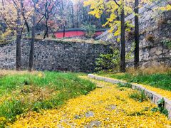 -阳台山自然风景区