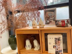 -猫里有甜