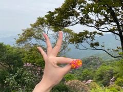 -梧桐山风景名胜区