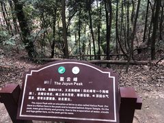 -缙云山景区