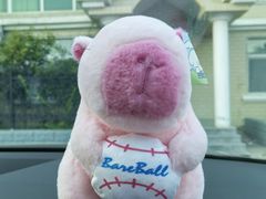 -兴芮温泉度假区