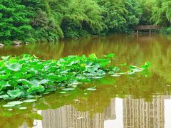 -龙头寺公园