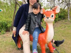 -南通鲜花小镇
