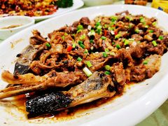 -寻味顺德·南记酒家·传统顺德菜·鱼生(广源路店)
