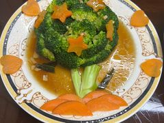 -小蝌蚪·寻·月嫂(普陀总部)