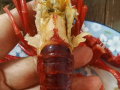 -祥鹤龙虾螃蟹