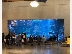 -西雅图水族馆