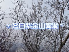 -紫金山山顶公园