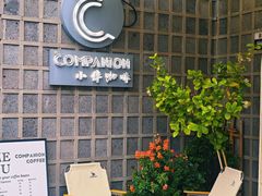-COMPANION COFFEE小伴咖啡