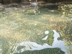 -厦门日月谷温泉渡假村