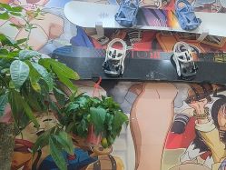 -木北护肤造型