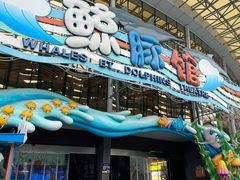 -海合安成都极地海洋公园