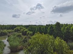 -捞渔河湿地公园