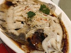 清蒸多宝鱼-新洪记·丽久饭店(铁西店)