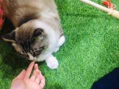 -白兔子密室(长寿路店)