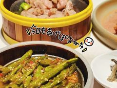 -金香匯晚茶(浑南店)