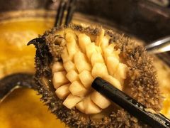 -鲜入围煮花胶鸡海鲜火锅