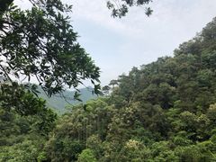 -羚羊峡古栈道森林公园