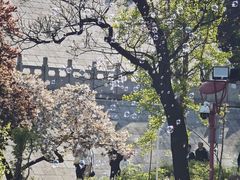 -兴隆文化园景区