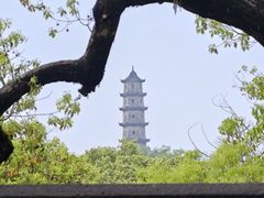 -江心屿景区