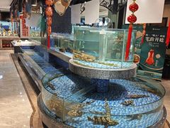-海派美食·家宴海鲜青岛菜·石锅鲽鱼头(东方城店)