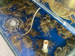 -阳澄湖大闸蟹·琼灵阁牌品牌连锁(吴中总店)