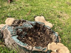 -亚龙湾中心广场