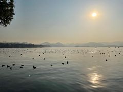 -西湖游船